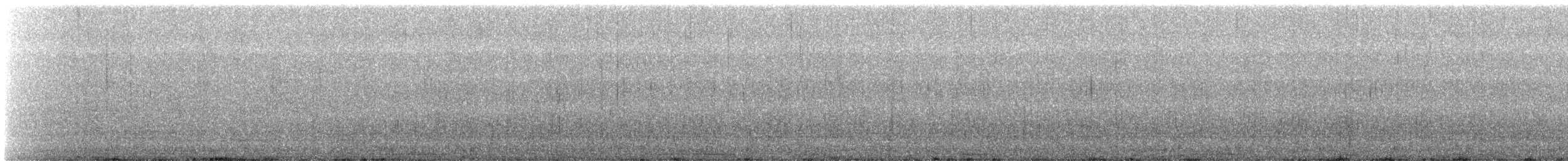 Spot-winged Pigeon - ML641337251