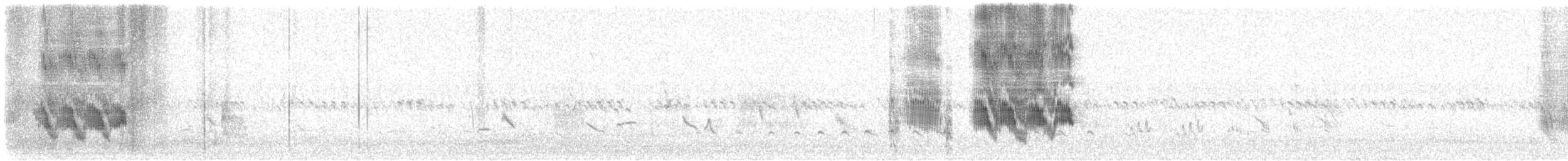 Quiscale des marais - ML641339796