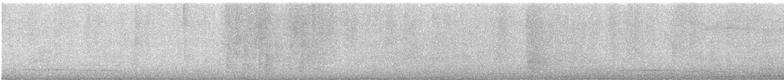ニッケイハチドリ - ML641340542