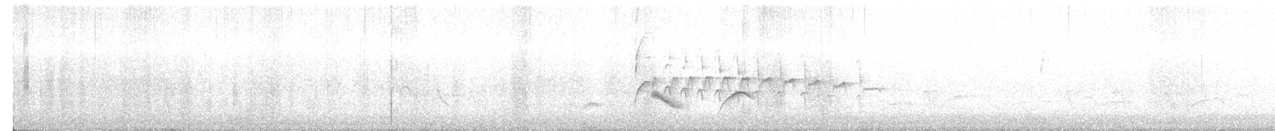 Southern Beardless-Tyrannulet - ML641345038