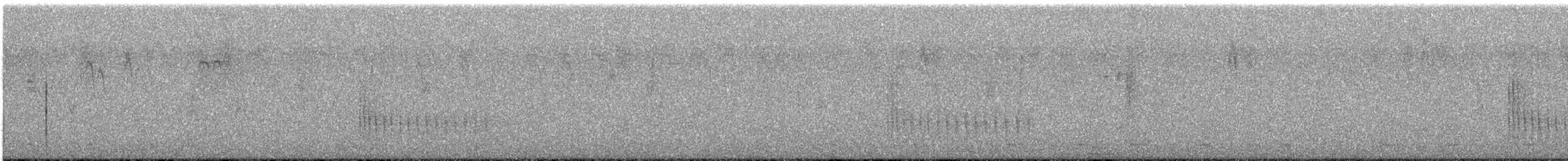 Belted Kingfisher - ML641346579