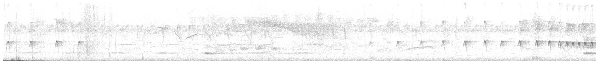Lesser Woodcreeper - ML641348424
