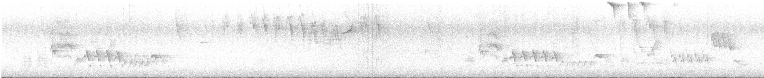 Southern House Wren - ML641348977
