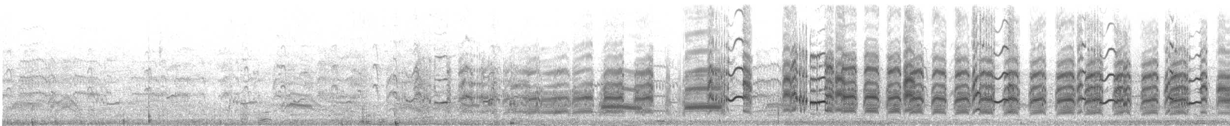 Beccapesci (sandvicensis) - ML641350555