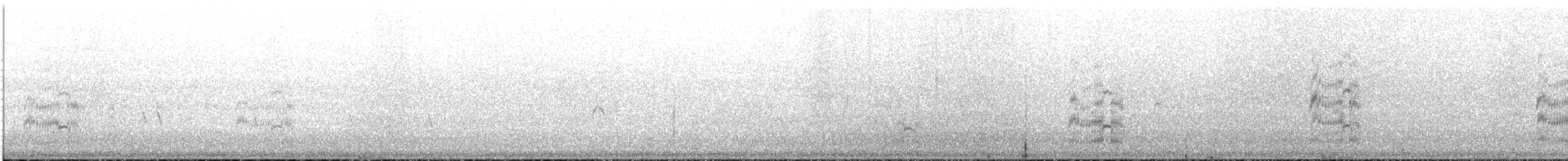 Sandwich Tern (Eurasian) - ML641350829