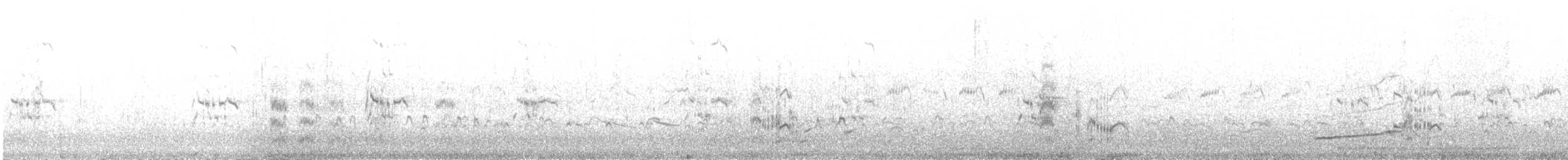 Sandwich Tern (Eurasian) - ML641350888