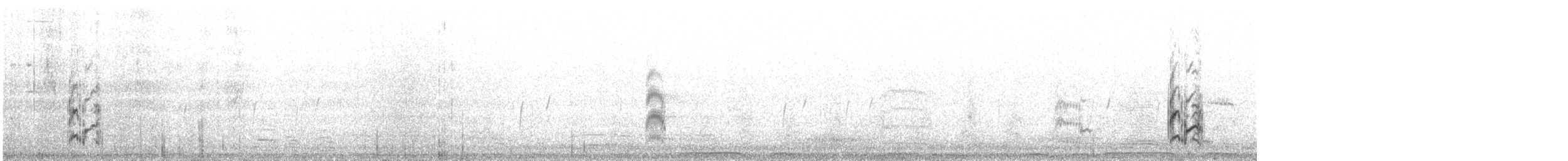 Sandwich Tern (Eurasian) - ML641351173