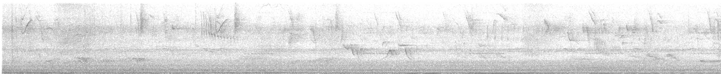 Whiskered Wren - ML641353141