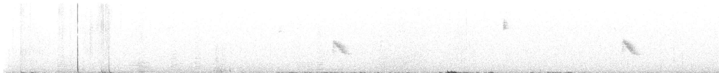 Bicknell's Thrush - ML641355338