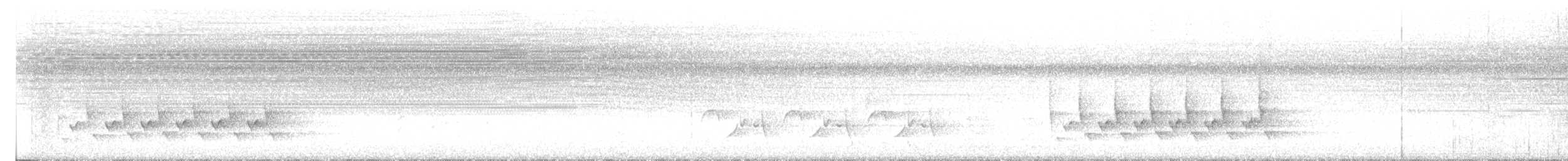チャバラマユミソサザイ - ML641356173