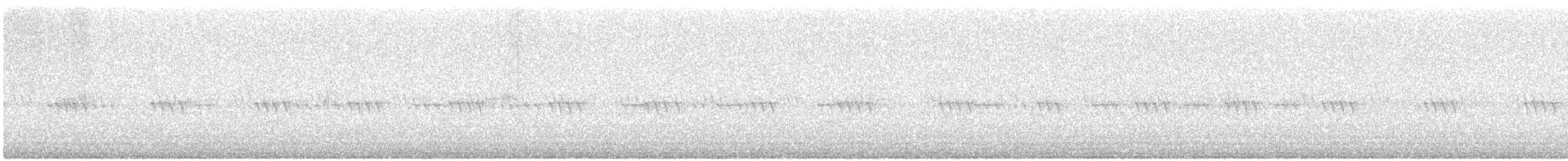 thrush sp. - ML641356243