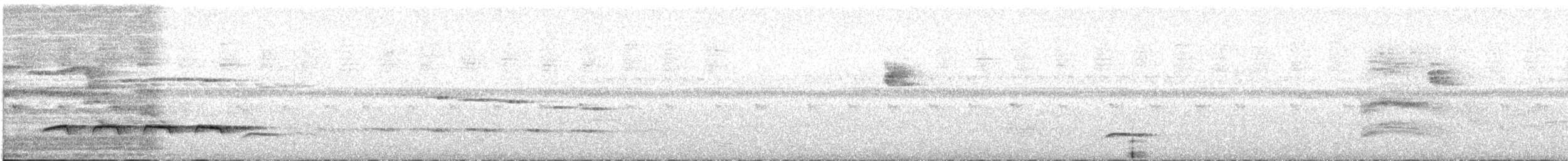 White-shouldered Fire-eye - ML641358113