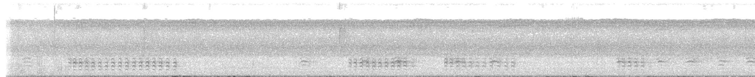 Weißbrustkleiber - ML641362234