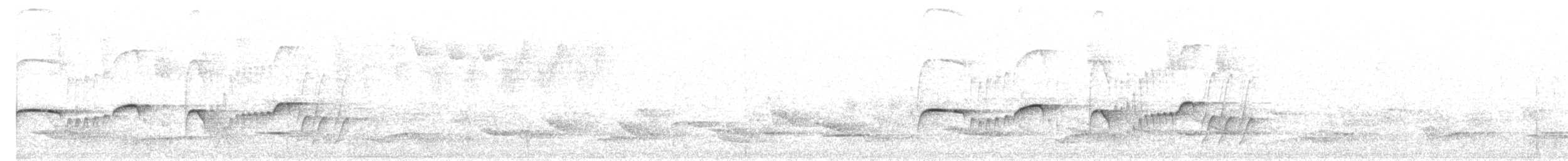 Southern Antpipit - ML641363158