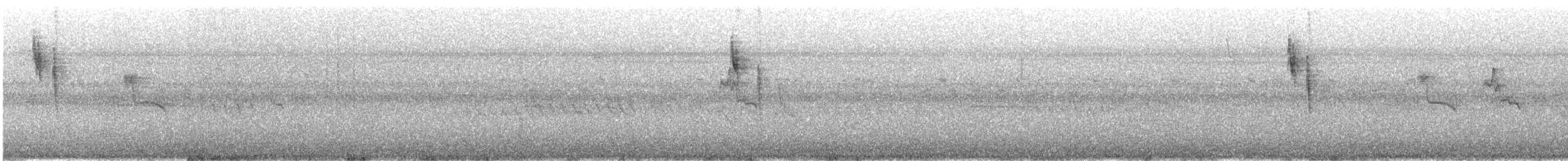 Japanese Wagtail - ML641363376