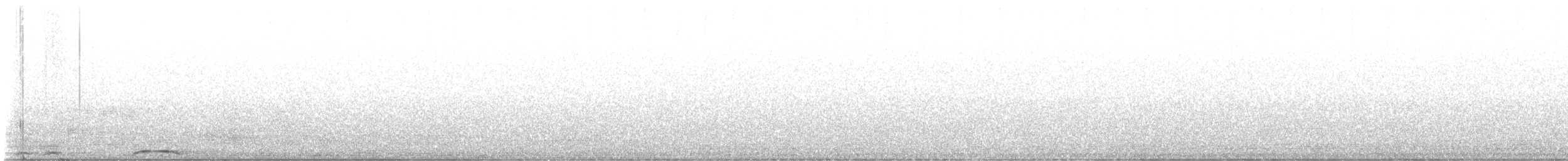 puštík bělonohý - ML641365166
