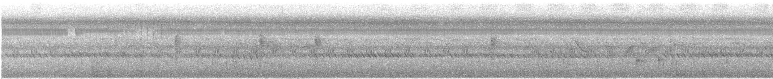 Buschstutzschwanz - ML641366088