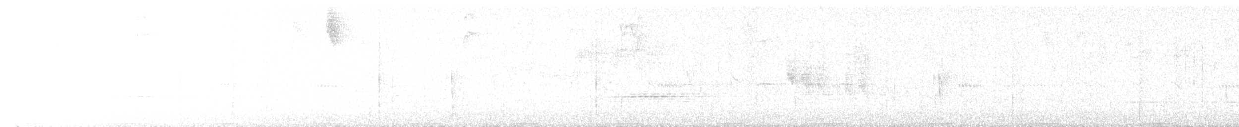 Colombe d'Hispaniola - ML641366390