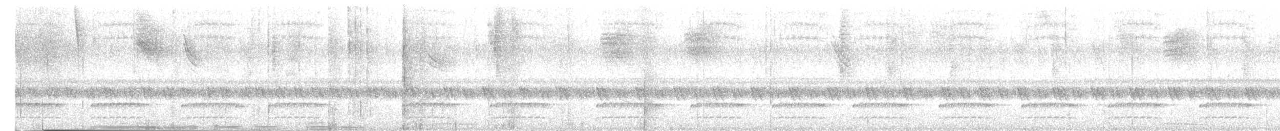 Tatama Tapaculo - ML641367188