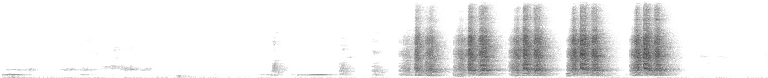 Speckled Chachalaca - ML641368128