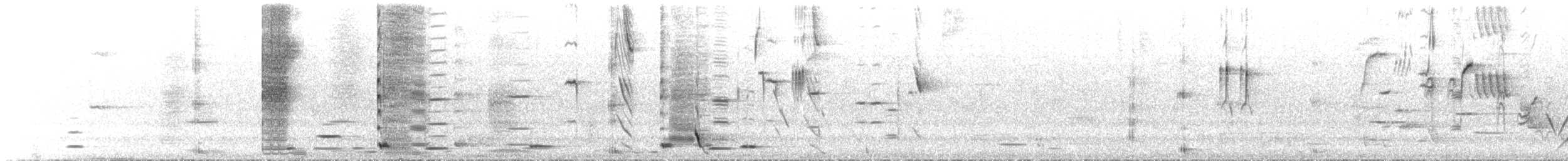 Tui - ML641368787