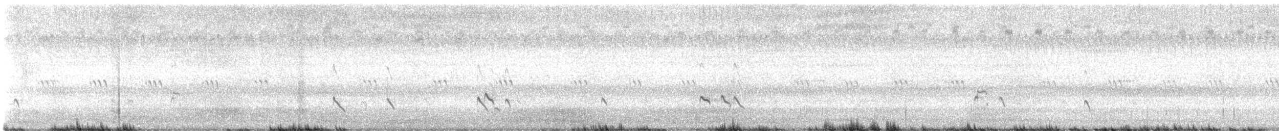 Lesser Yellowlegs - ML641369240