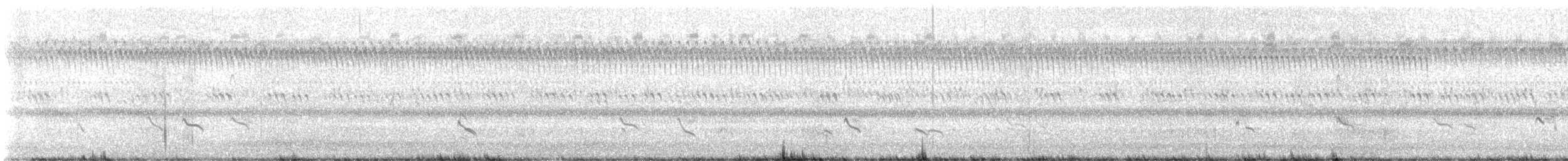 Semipalmated Sandpiper - ML641369266