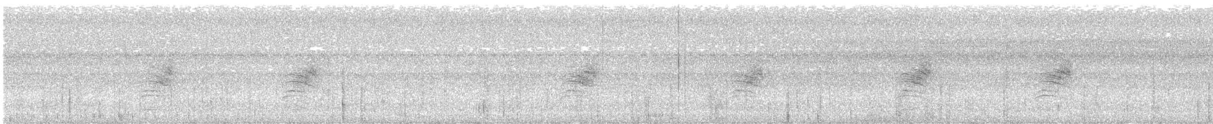 White-browed Gnatcatcher - ML641369612