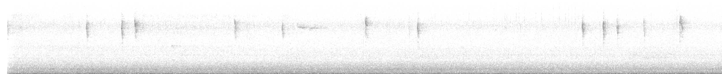 Striated Thornbill - ML641370770