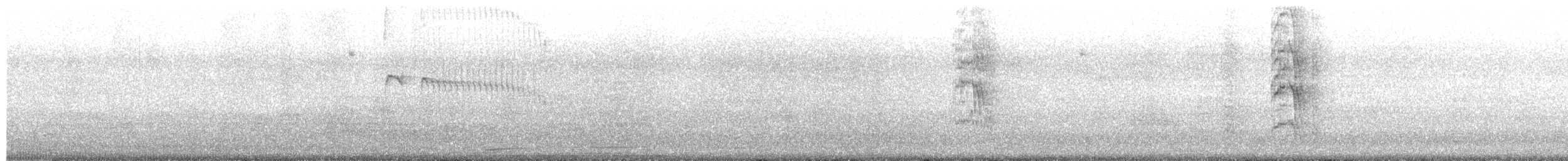 Straneck's Tyrannulet - ML641370951