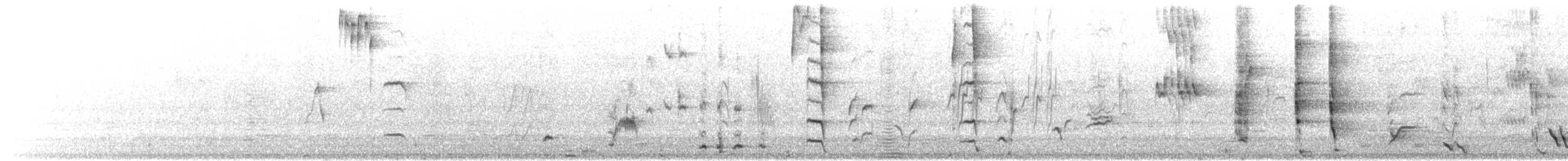 Tui - ML641371723