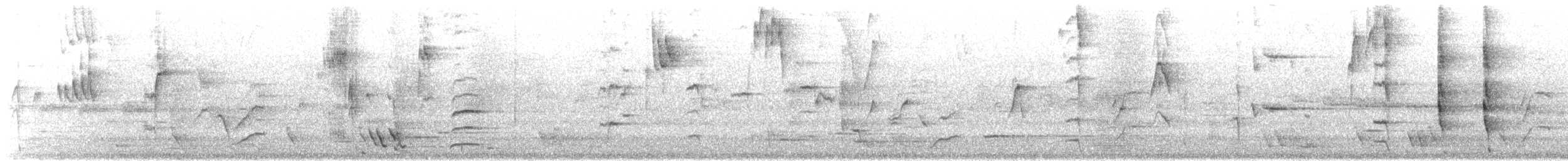 Tui - ML641371844