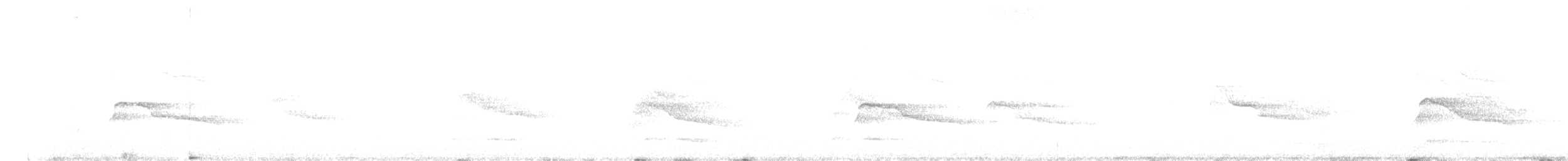 Cooper's Hawk - ML641372348