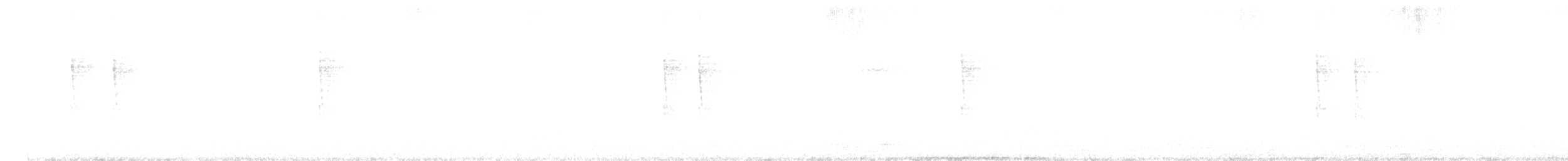 Pacific Wren - ML641372509