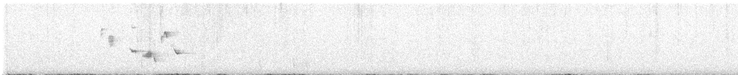 Brown Thornbill - ML641373425