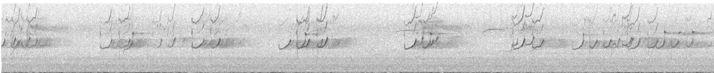 コシグロクサシギ - ML641373879