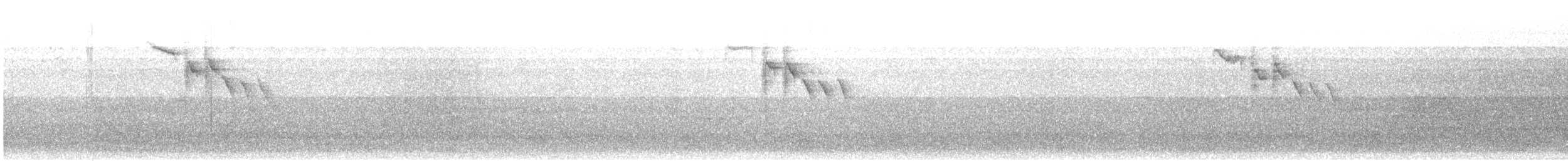 Amilotx urdina - ML641374289