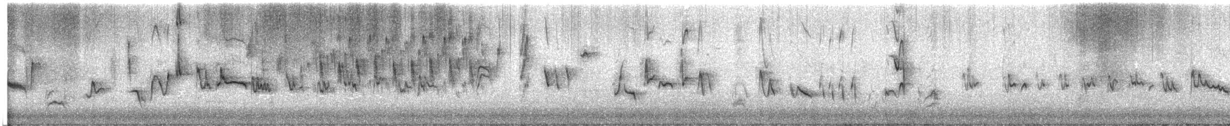 Silvereye - ML641374793