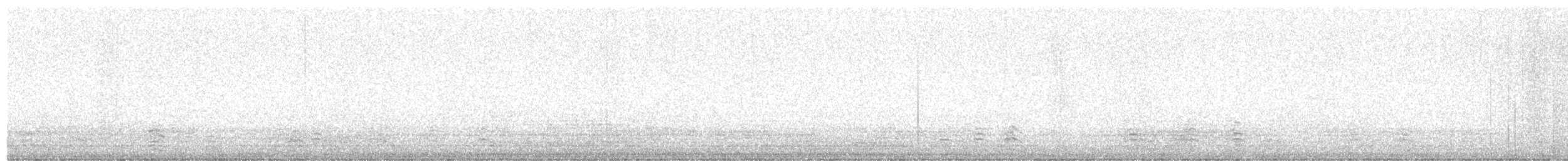 Oca colombaccio - ML641375003