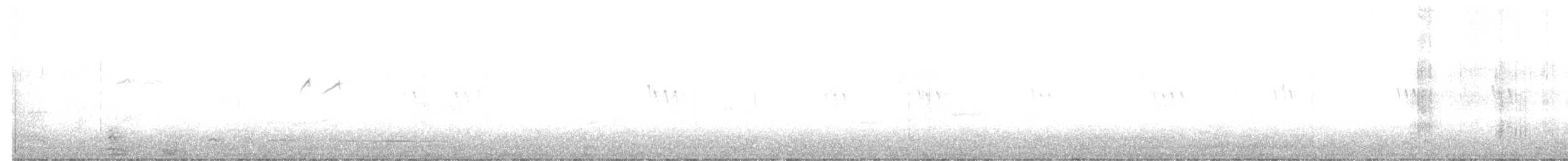 Bécasseau de Temminck - ML641375831