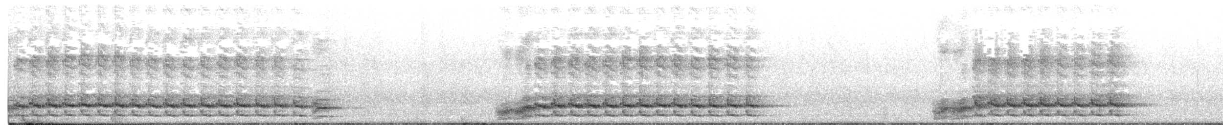 Silver-backed Butcherbird - ML641376456