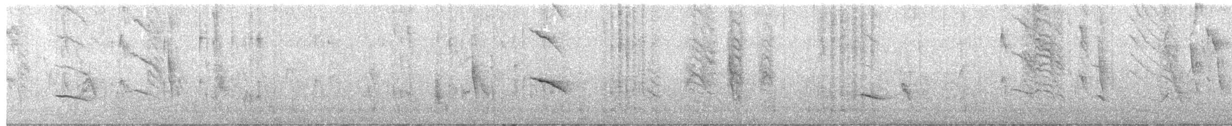 Grayish Baywing - ML641377386