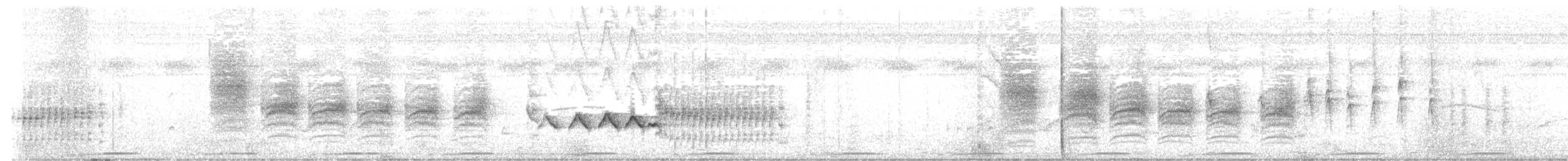 gråhodevireo - ML641377428