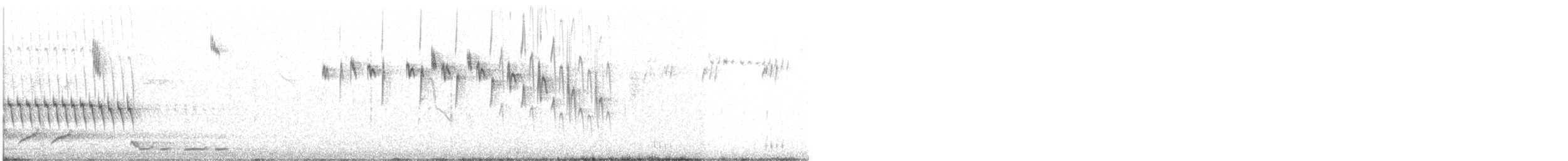 Splendid Fairywren - ML641378875