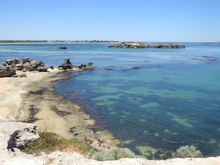 Point Peron, Rockingham, Western Australia, Australia - eBird Hotspot