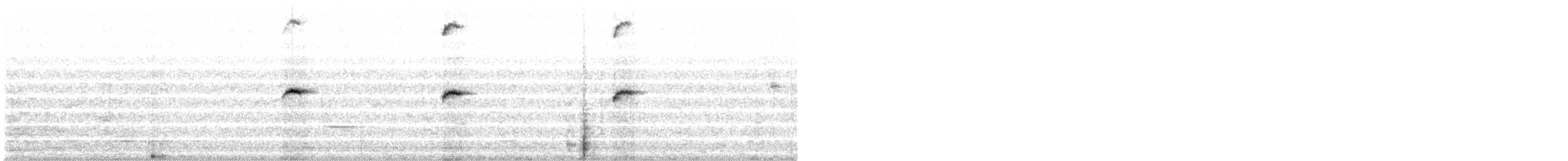 Colibri géant - ML641381008