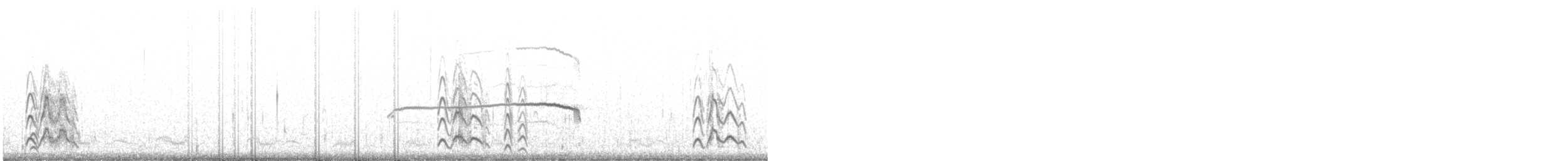 Sterne de Saunders - ML641381280