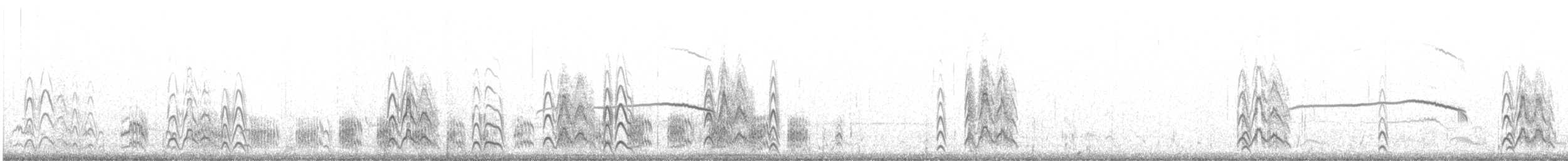 Sterne de Saunders - ML641381288