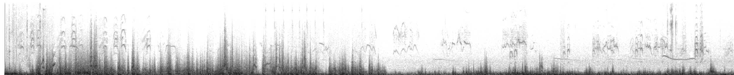 Sterne de Saunders - ML641381337