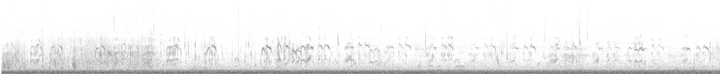 Saunders's Tern - ML641381371